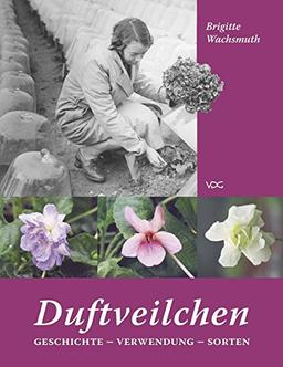 Duftveilchen: Geschichte - Verwendung - Sorten