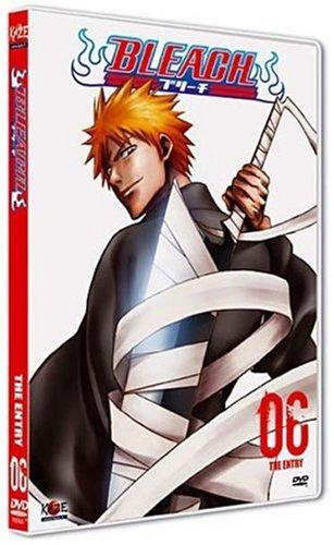 Bleach, vol. 6 [FR Import]