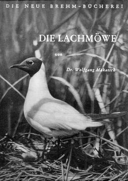 Die Lachmöwe (Die Neue Brehm-Bücherei: Zoologische, botanische und paläontologische Monografien)