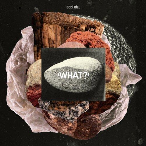 What? (+Download-Code) [Vinyl LP]