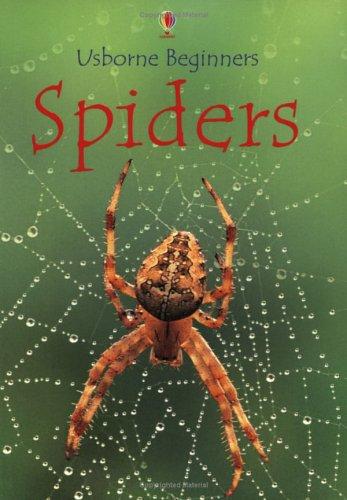 Spiders (Beginners)