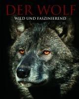 Der Wolf: Faszinierende Einblicke und spektakuläre Fotografien