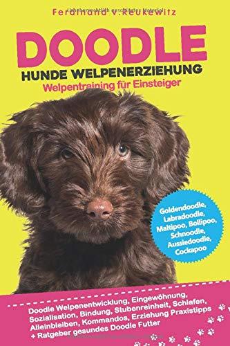 Doodle Hunde Welpenerziehung: Goldendoodle, Labradoodle, Maltipoo, Cockapoo & Co - Buch zum Doodle Welpentraining für Einsteiger - Entwicklung, Bindung, Stubenreinheit, Erziehung