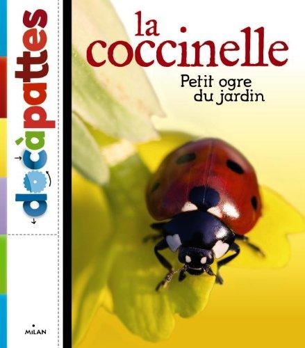 La coccinelle, petit ogre du jardin