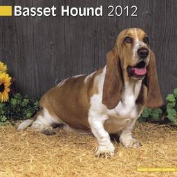 Kalender 2012 Basset Hound