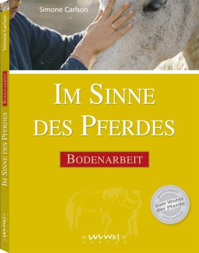 Im Sinne des Pferdes: Bodenarbeit