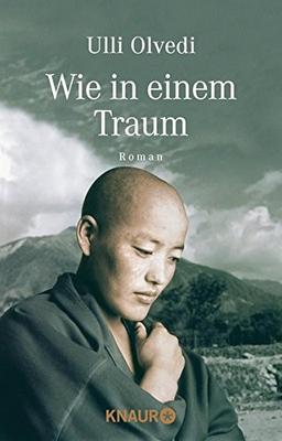 Wie in einem Traum: Roman