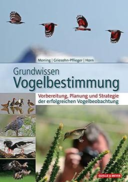 Grundwissen Vogelbestimmung: Vorbereitung, Planung und Strategie der erfolgreichen Vogelbeobachtung (Quelle & Meyer Bestimmungsbücher)