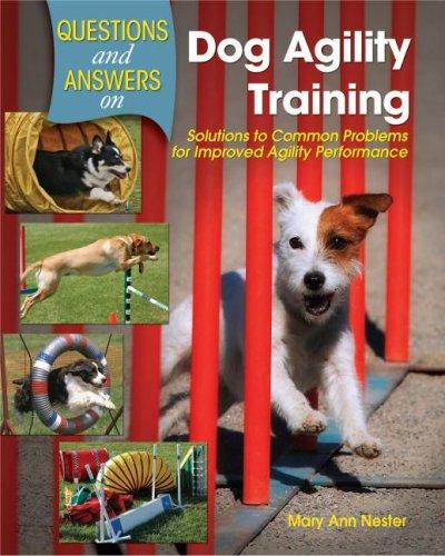 Questions & Answers on Dog Agility Training