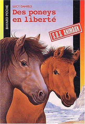 Des poneys en liberté