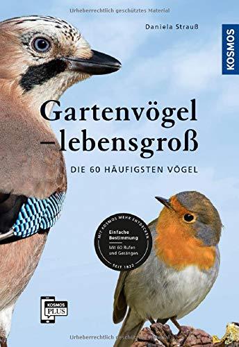 Gartenvögel lebensgroß: Die 60 häufigsten Vögel, Einfache Bestimmung, Mit 60 Rufen und Gesängen