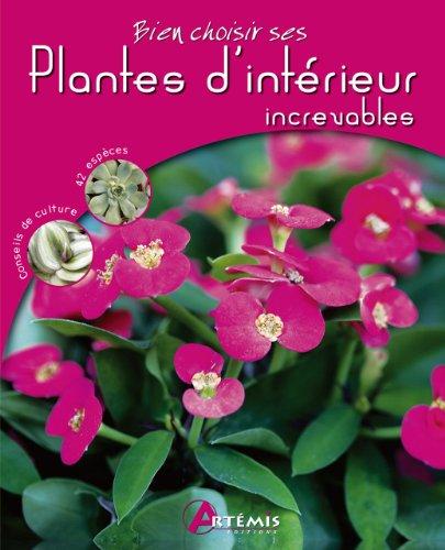 Plantes d'intérieur increvables