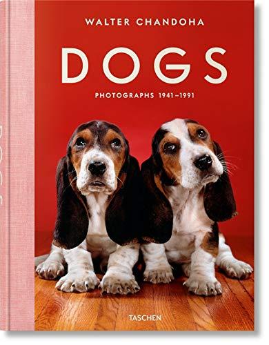 Dogs : photographs 1941-1991