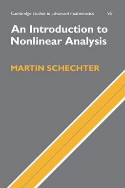 An Introduction to Nonlinear Analysis (Cambridge Studies in Advanced Mathematics, Band 95)