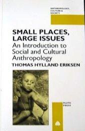 Small Places, Large Issues: An Introduction to Social and Cultural Anthropology (Anthropology, Culture, and Society)