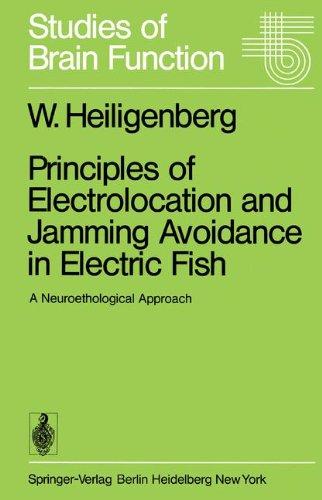 Principles of Electrolocation and Jamming Avoidance in Electric Fish: A Neuroethological Approach (Studies of Brain Function, Band 1)