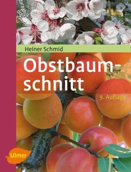 Obstbaumschnitt: Kernobst - Steinobst - Beerenobst