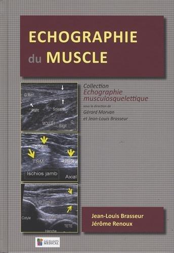 Echographie Du Muscle