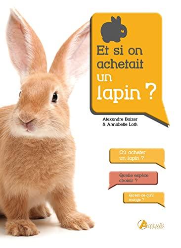 Et si on achetait un lapin ?