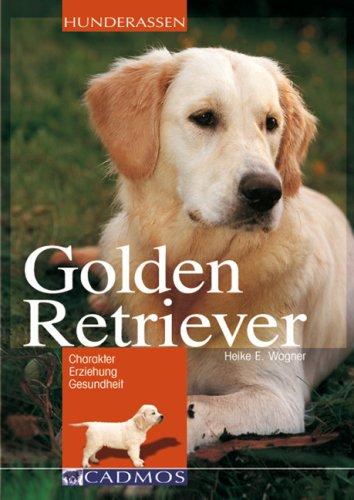 Golden Retriever: Charakter - Erziehung - Gesundheit