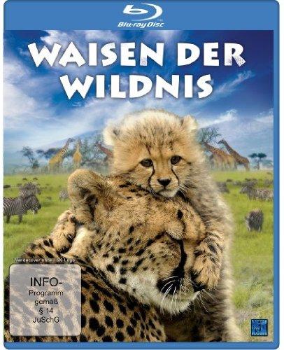 Waisen der Wildnis [Blu-ray]