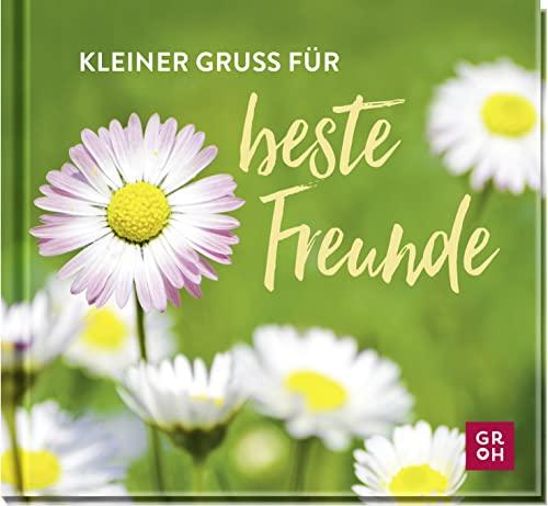 Kleiner Gruß für beste Freunde: Geschenkbuch mit Texten und Zitaten als Geschenk zum Geburtstag oder für zwischendurch