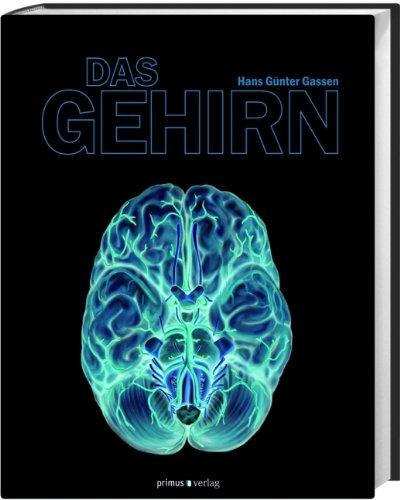 Das Gehirn