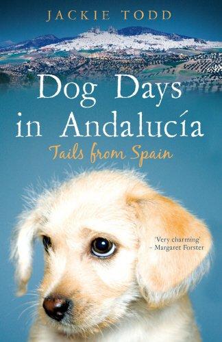 Dog Days in Andalucía: Tails from Spain