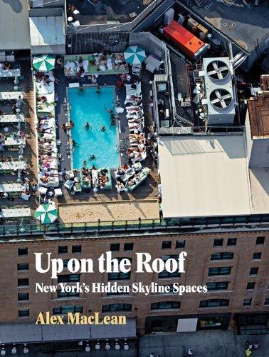 Up on the Roof: New York's Hidden Skyline Spaces