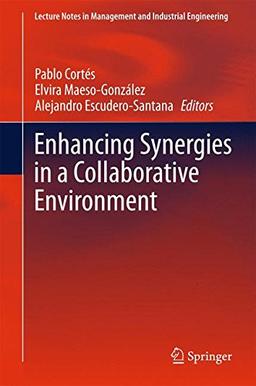 Enhancing Synergies in a Collaborative Environment (Lecture Notes in Management and Industrial Engineering)