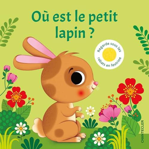 Où est le petit lapin ?