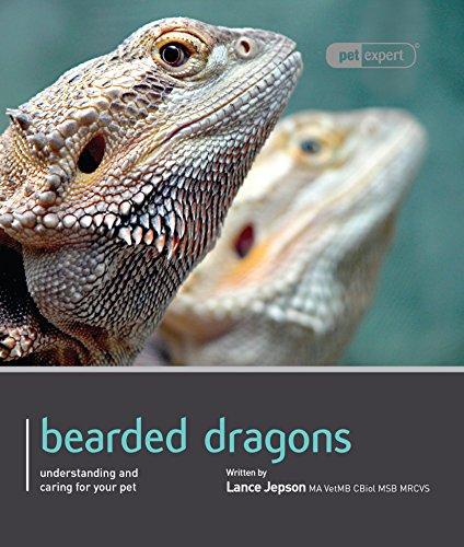 Bearded Dragon - Pet Expert: Understanding and Caring for Your Pet