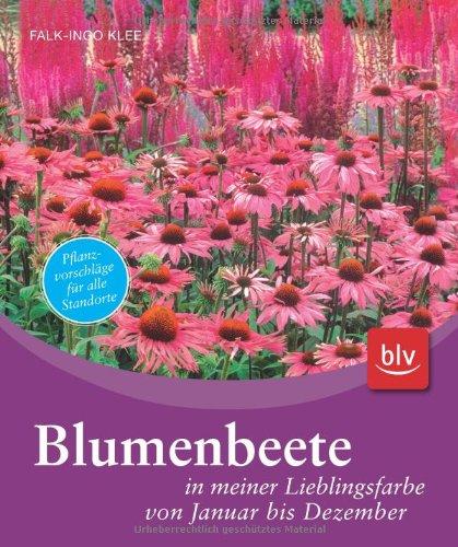 Blumenbeete in meiner Lieblingsfarbe von Januar bis Dezember