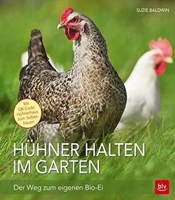 Hühner halten im Garten: Der Weg zum eigenen Bio-Ei