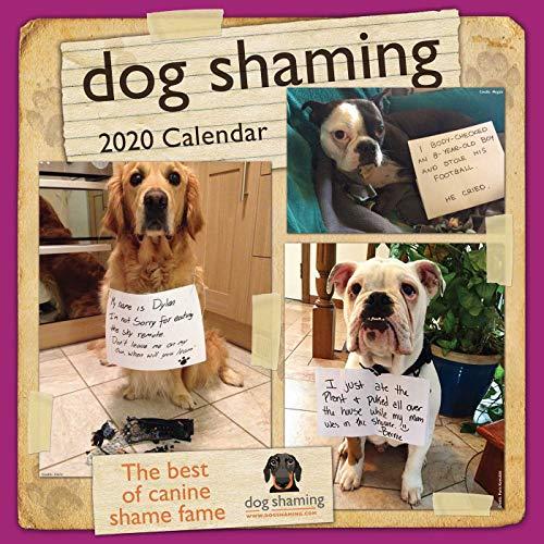 DOG SHAMING 2020 WALL CAL