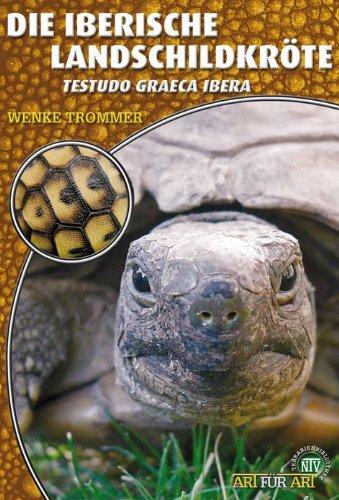 Die Iberische Landschildkröte: Testudo graeca ibera