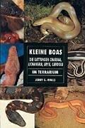 Kleine Boas im Terrarium