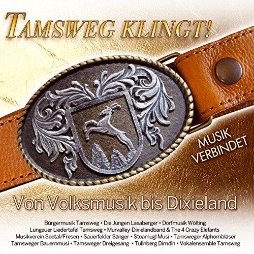 Tamsweg klingt! Von Volksmusik bis Dixieland; Jungen Lasaberger; Dorfmusik Wölting; Lungauer Liedertafel; Murvalley Dixielandband & 4 Crazy Elefants; Stoamugl Musi; Tamsweger Alphornbläser; Vokalensemble Tamsweg; Tullnberg Diandln; Musik aus Salzburg