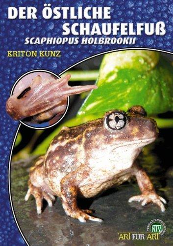 Der Östliche Schaufelfuß: Scaphiopus holbrokii