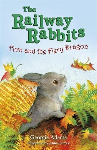 Fern and the Fiery Dragon: Book 7 (Railway Rabbits, Band 7)