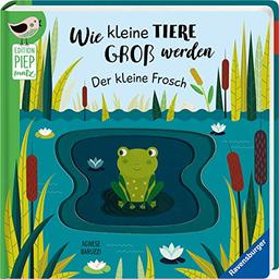 Wie kleine Tiere groß werden: Der kleine Frosch (Edition Piepmatz)