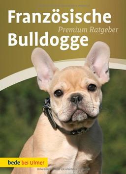 Französische Bulldogge