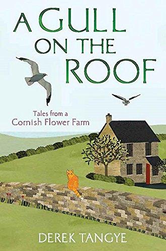 A Gull on the Roof: Tales from a Cornish Flower Farm (Minack Chronicles, Band 1)