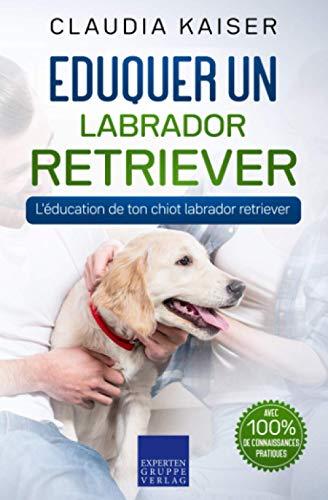 Eduquer un labrador retriever: L'éducation de ton chiot labrador retriever