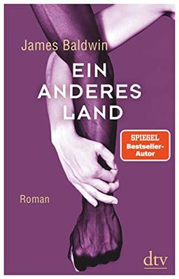 Ein anderes Land: Roman