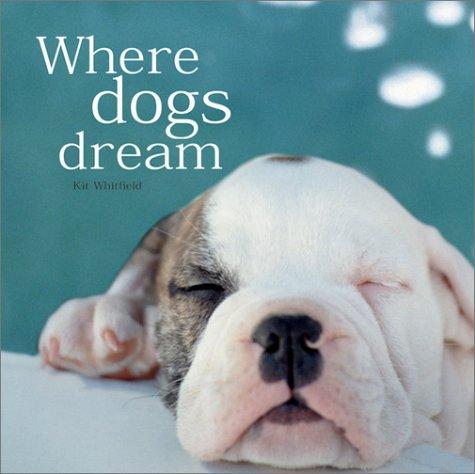 Where Dogs Dream