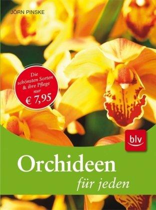 Orchideen für jeden: Die wichtigsten Gruppen - Die schönsten Sorten - Die beste Pflege