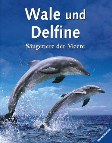 Wale und Delfine: Säugetiere der Meere