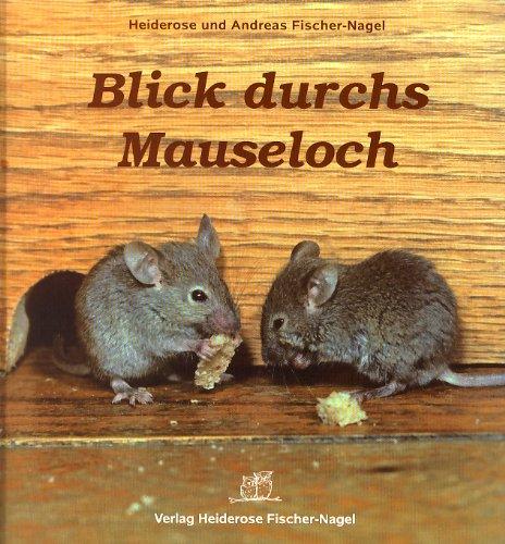 Blick durchs Mauseloch