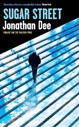 Untitled Jonathan Dee Book 2